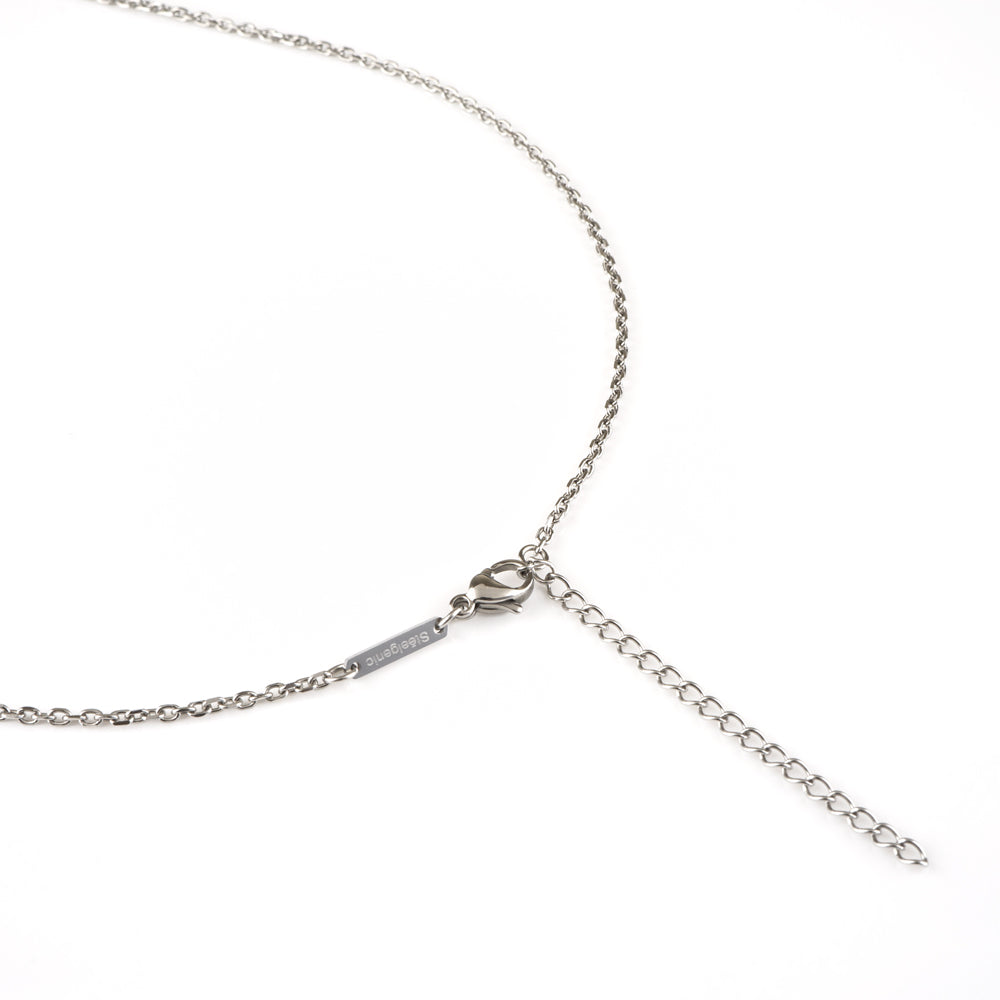 Stéelgenic デュオネックレス DUO|PEN9021 + SGN6001