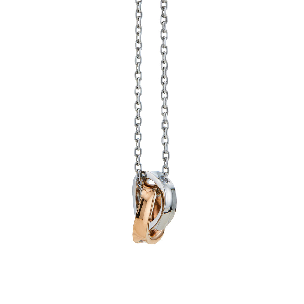 Stéelgenic デュオネックレス DUO|PEN9021 + SGN6001