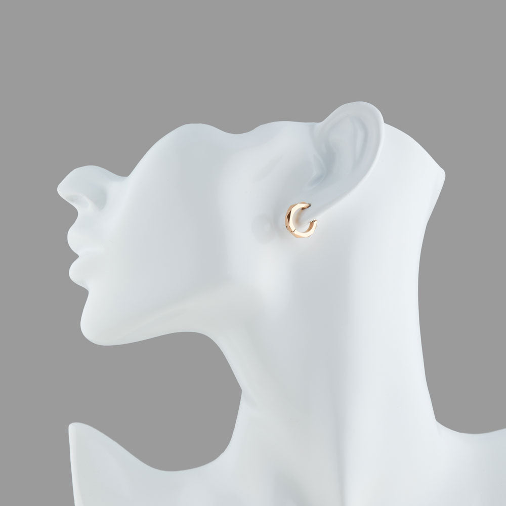 Stéelgenic Faceted Hoop Earrings PIERCE COLLECTION|PSN9133