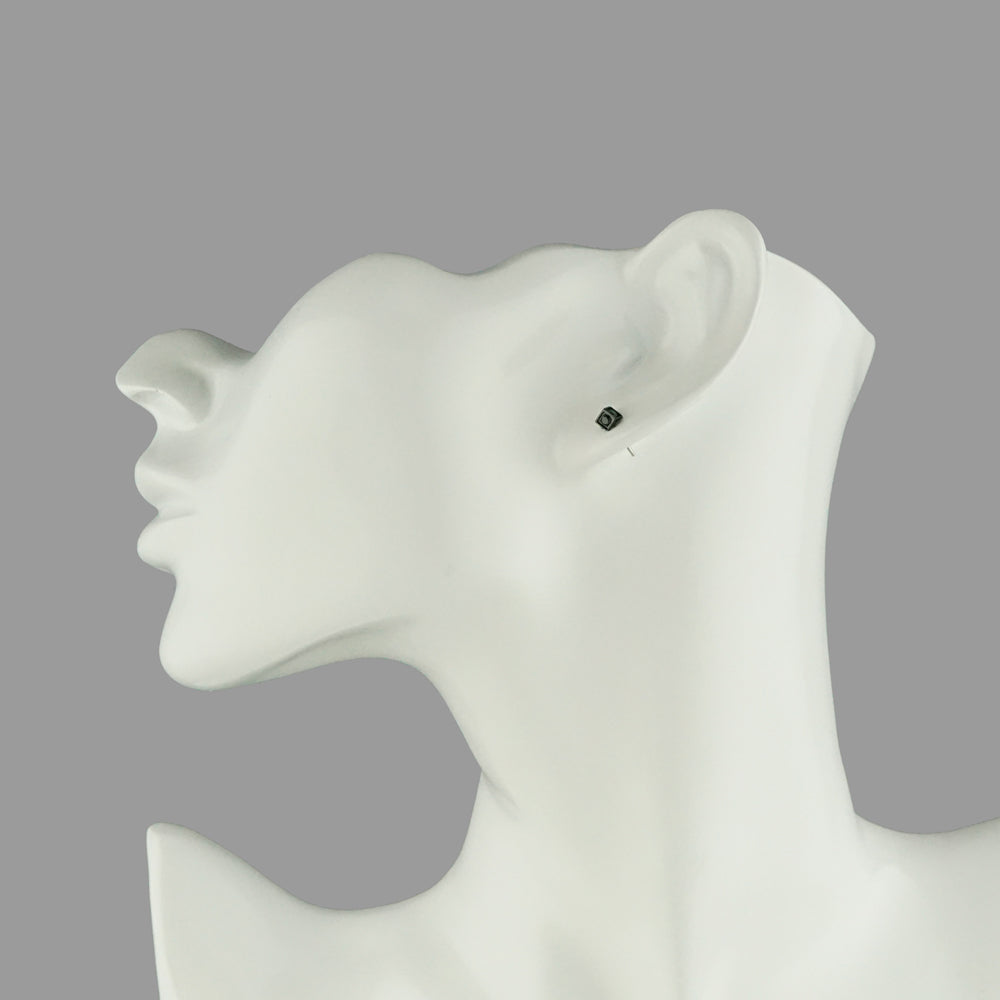 Stéelgenic グリッターCZピアス PIERCE COLLECTION|PSC4303