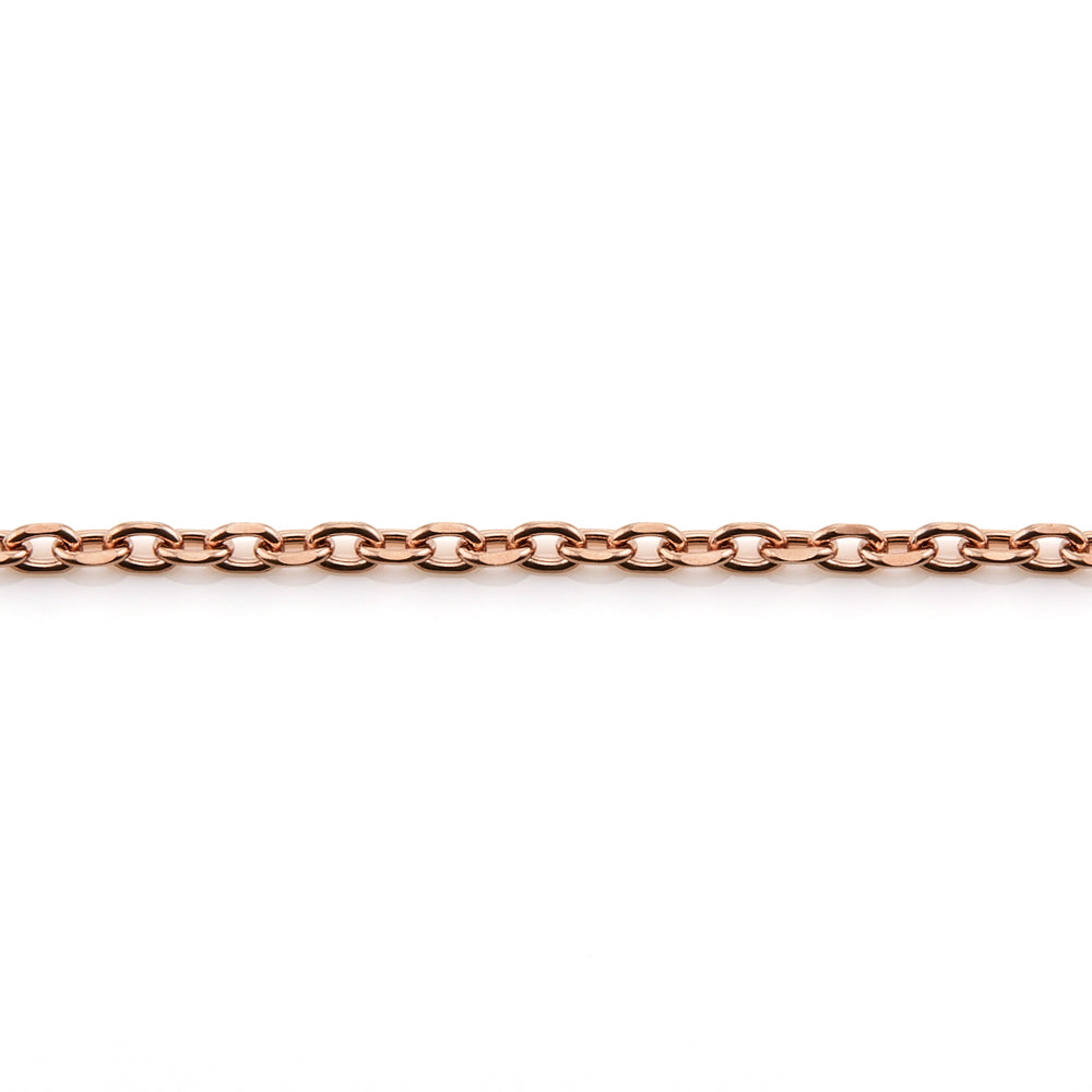 Stéelgenic Standard Chain CHAIN｜NEC2006