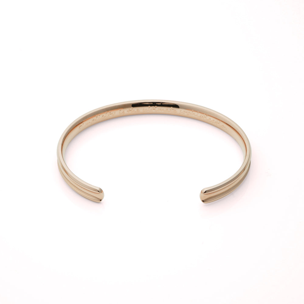 Stéelgenic Curved Bangle DA VINCI｜BRN9133