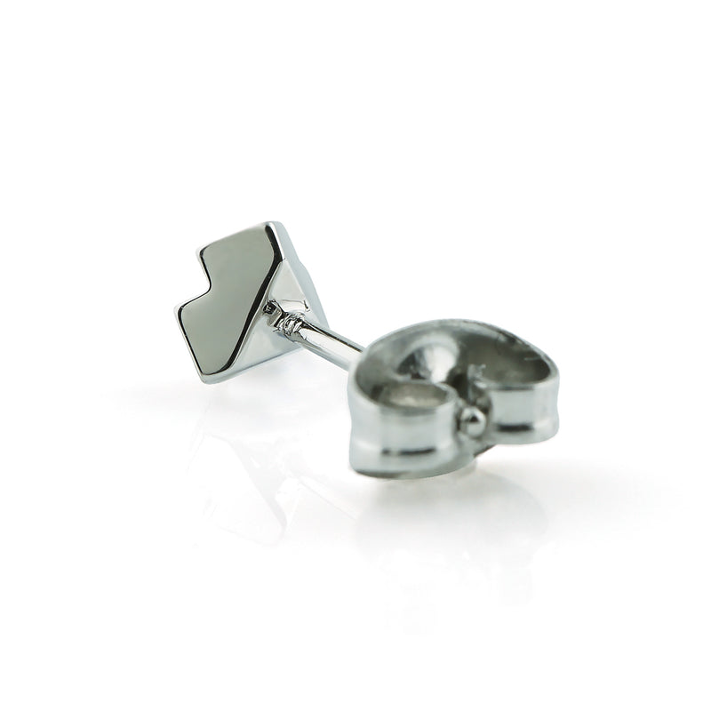 Stéelgenic Glitter Earrings PIERCE COLLECTION｜PSN9073