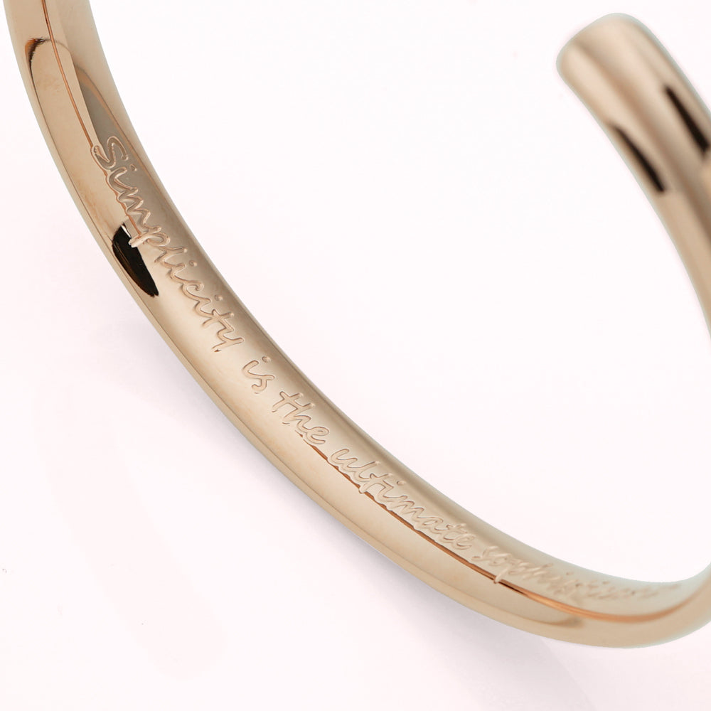 Stéelgenic Curved Bangle DA VINCI｜BRN9133